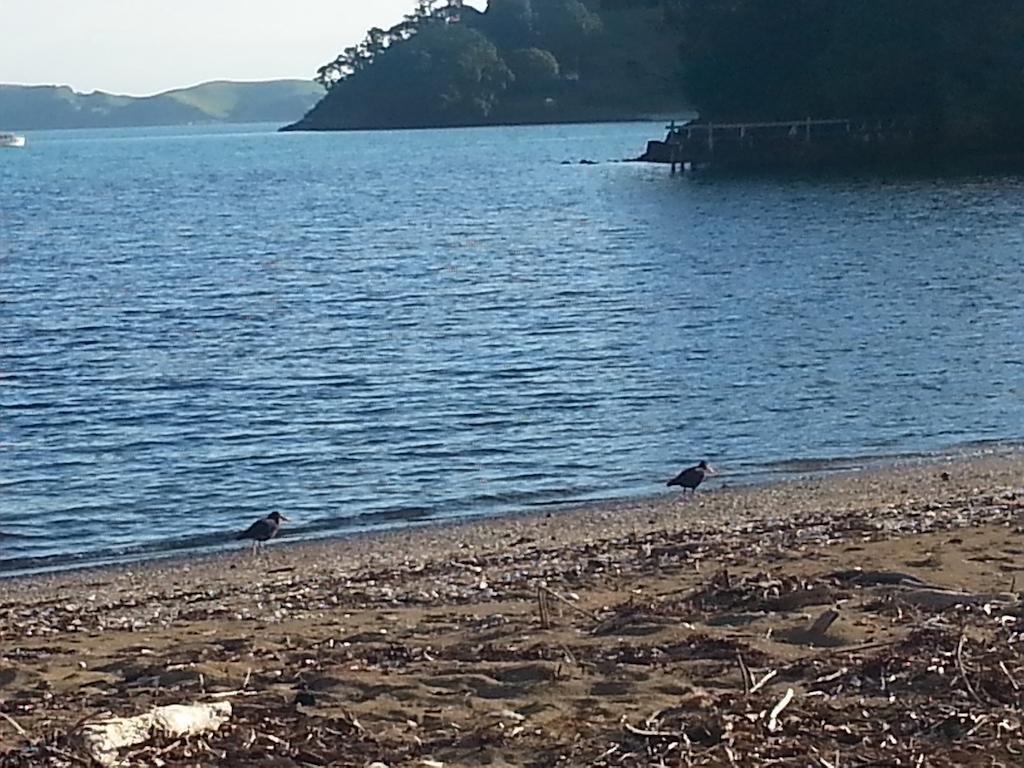 Oamaru Bay Tourist Park Hotel Coromandel Екстериор снимка